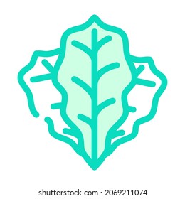 spinach leaves color icon vector. spinach leaves sign. isolated symbol illustration