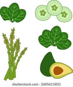 Spinach leaves, cut cucumber, asparagus. avocado composition set. Vector flat illustration of green vegetables on transparent background. For logo, web, package, sticker. Eat green