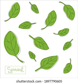 Spinach leaves of different shapes and sizes with an inscription. Seamless pattern. The concept of healthy eating. Detox, salads, smoothies. Vector illustration on an isolated background