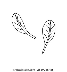 spinach leaves, doodle illustration. Hand drawn black illustration for food packaging design.