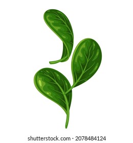 Spinach Leaves Falling Concept Vector Illustration