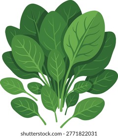 Шпинат оставляет свежий здоровый овощной дизайн
