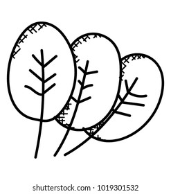 
Spinach leaves hand drawn doodle icon

