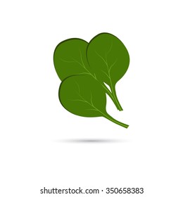 Spinach Leaves Icon