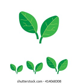 Spinach leaves icon