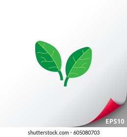 Spinach leaves icon