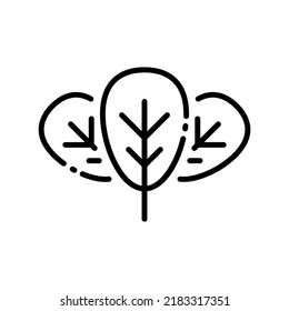 Spinach leaves icon vector illustration in outline style. Vegetable sign