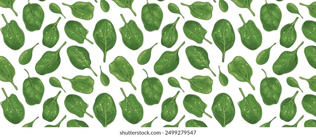 Patrón de hojas de espinaca. Hojas verdes de ensalada de vitaminas. Fondo inconsútil del Vector para los textiles, manteles, telas, Fondos de pantalla