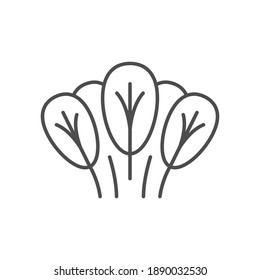 Spinat-Liniensymbol oder Gemüsebegriff