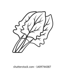 Spinach linear icon. Salad ingredient. Agriculture plant. Leaf. Vegetable farm. Vegan food. Healthy nutrition. Thin line illustration. Contour symbol. Vector isolated outline drawing. Editable stroke