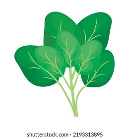 icono de naturaleza espinaca aislado plano