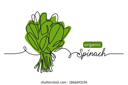 Spinach, Organic Green Leaf, Salad Bunch. Vector Illustration, Background. One Line Drawing Art Illustration With Lettering Organic Spinach.