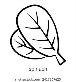Spinach Outline Design - Vegetable Blank Fill For Coloring Book
