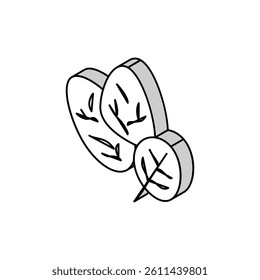 spinach plant isometric icon vector. spinach plant sign. isolated symbol illustration