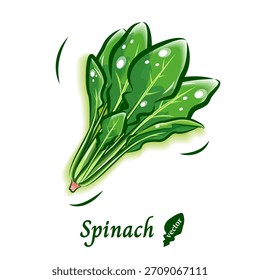 Spinach pop vector material | Fresh and cute vegetable illustrations