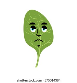 Spinach sad Emoji. Green leaves sorrowful emotion isolated
