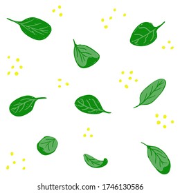 Spinach seamless pattern. Spinach leaves with seeds set isolated on white background. Minimalistic style