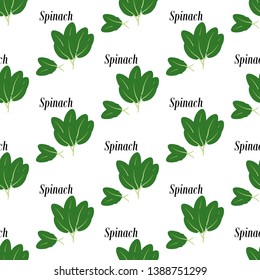 Spinach seamless pattern on the white background. Vector illustration