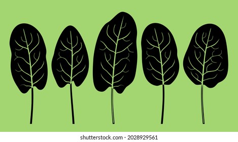 Spinach. Set of five black silhouettes of spinach leaves isolated on a green background.
