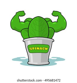 Spinach strong and powerful. Muscular arms of tin spinach. Healthy greens. Athletic Green sheets. Sports plant
