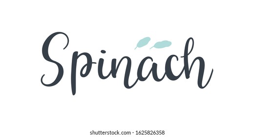 Spinach text hand drawn lettering isolated on white background.