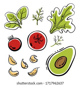 Spinat, Tomaten, Knoblauch, Avocado, Dill, Salat. Farbige Skizzensammlung von Salatgemüse und Kräutern einzeln auf weißem Hintergrund. Doodle handgezeichnete Gemüsesymbole. Vektorillustration