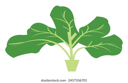 Spinach Vector Design And Illustration.