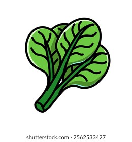 spinach vector design illustration, spinach icon, spinach logo, spinach sticker, very good as a sticker.