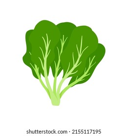 Spinach vector. Healthy green leaves for health lovers.