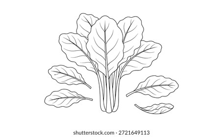 Espinafre vetor desenho de arte de linha. Um monte de espinafre, ingrediente, salada. Ilustração isolada de vetor no plano de fundo transparente.