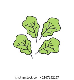 Spinach vegetable icon in color, isolated on white background 