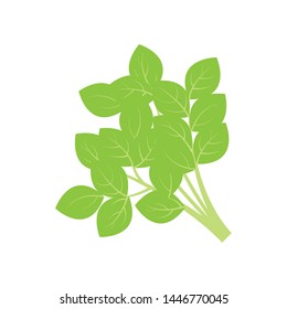 spinach vegetable icon isolated vector