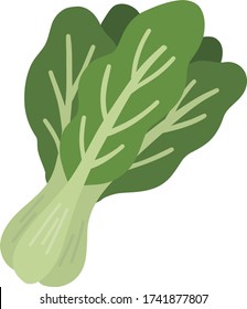 Spinach Vegetable Illustration Organic Bio