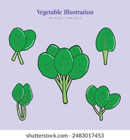 Conjunto de ilustración vegetal de espinacas para logotipo y símbolo saludable Diseño plano de Colección - Editable EPS Vector Label Illustration