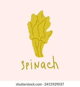 Spinach vegetable isolated vector illustration. Bunch of fresh spinach leaves with hand drawing text. Local organic farm harvest, natural raw food concept