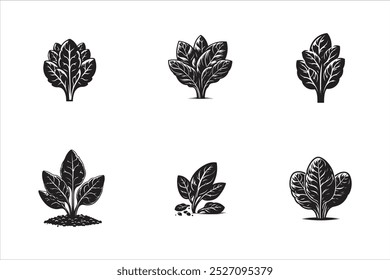 Spinach Vegetable  silhouette vector illustration 