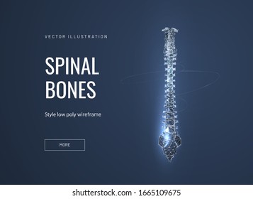 Spinal bones low poly wireframe landing page template. Anatomy, biology science web banner. 3d human spine polygonal illustration. Vertebra, skeleton part mesh art homepage design layout