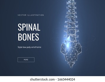 Spinal bones, vertebra low poly wireframe landing page template. Anatomical, biological web banner. 3d spine polygonal illustration. Skeleton part, bone joint mesh art homepage design layout