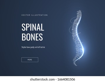 Spinal bones, vertebra low poly wireframe landing page template. Anatomical, biological web banner. 3d spine polygonal illustration. Skeleton part, bone joint mesh art homepage design layout