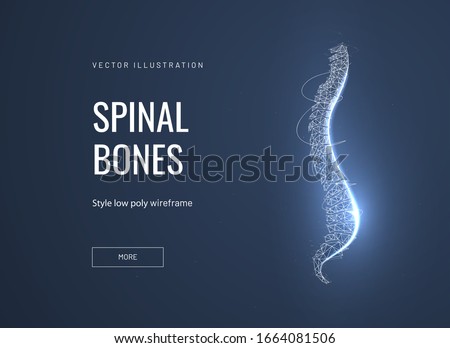 Spinal bones, vertebra low poly wireframe landing page template. Anatomical, biological web banner. 3d spine polygonal illustration. Skeleton part, bone joint mesh art homepage design layout