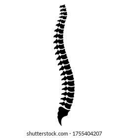 Spinal column diagram vector icon isolated on white background