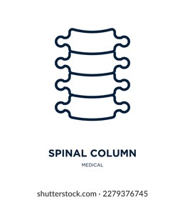 spinal column icon from medical collection. Thin linear spinal column, medical, medicine outline icon isolated on white background. Line vector spinal column sign, symbol for web and mobile