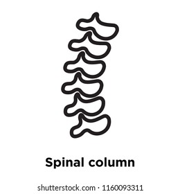 Spinal column icon vector isolated on white background, Spinal column transparent sign , line and outline elements in linear style
