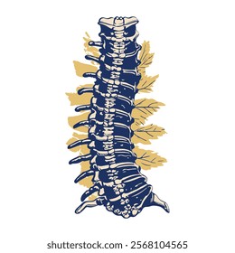 Spinal column illustration in vintage style