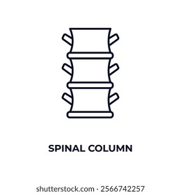 spinal column outline icon. Linear vector from medical concept. Thin line spinal column icon isolated on white background