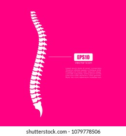 Ilustración del icono vectorial de columna vertebral aislada en fondo rosa