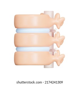 Spinal Column. Vertebrae With Intervertebral Discs. Spinal Cord With Nerve Roots 3d Icon, Isolated Object On A Transparent Background