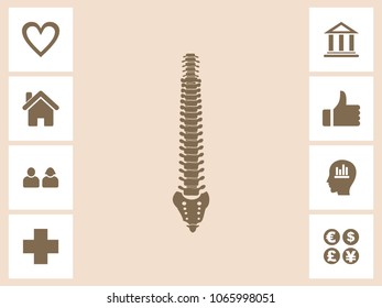 Spinal Cord Icon With Bonus Icons. Eps-10.