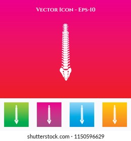 Spinal Cord Icon in Colored Square box. eps-10
