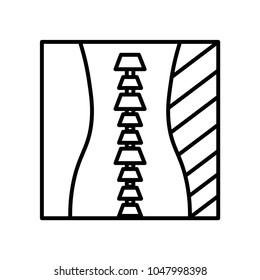spinal cord icon vector